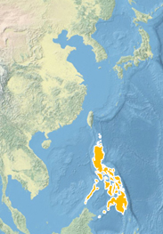 Ausschnitt einer Weltkarte in hellen Blau-, Beige- und Grüntönen. Der Inselstaat der Philippinen ist orange hervorgehoben.