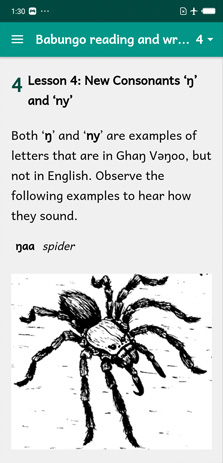 Screenshot App. Überschrift: „Babungo reading and wr ... 4“. Text zu Lektion 4 über 2 Konsonanten. Unten Zeichnung von Spinne.